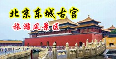 欧美乱大交XXXXX直播中国北京-东城古宫旅游风景区